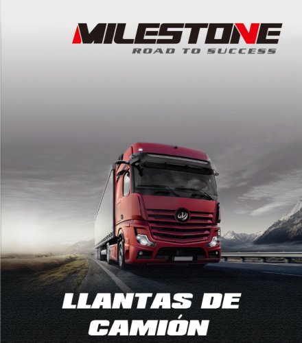 LLANTHAS DE CAMIÓN